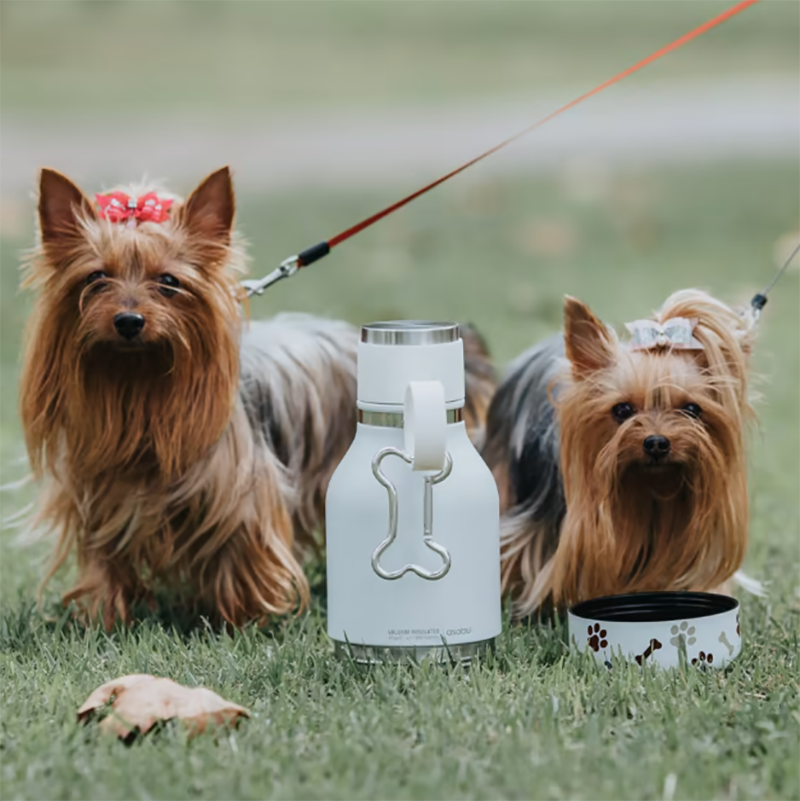 anavathmiste-tin-kathimerinotita-sas-me-must-have-lifestyle-proionta-77-dogs.png