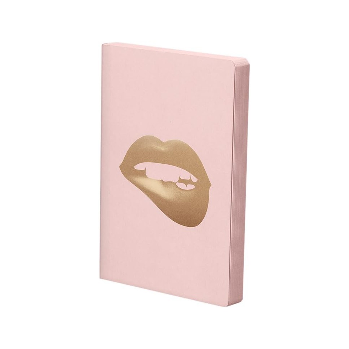 Nuuna Notebooks Graphic L - Glossy Lips