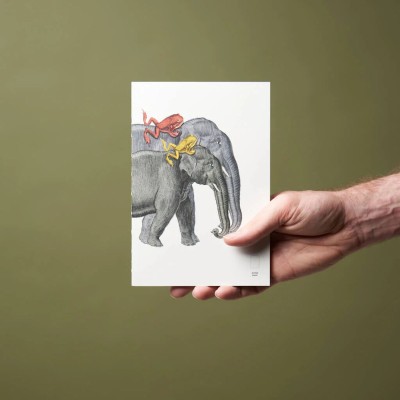 Paper Republic Ανταλλακτικά Φύλλα Animal Companions Refills - XL / Κουκκίδες