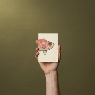 Paper Republic Ανταλλακτικά Φύλλα Reef Book Refills - Pocket / Λευκά Φύλλα