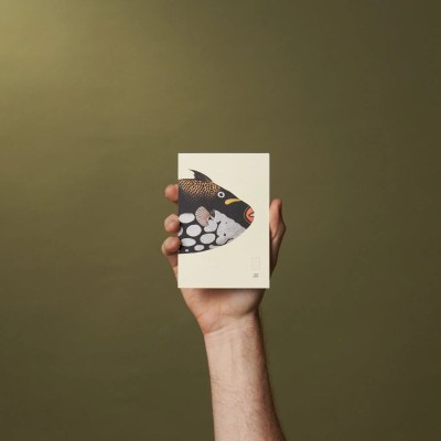 Paper Republic Ανταλλακτικά Φύλλα Reef Book Refills - Pocket / Ριγέ