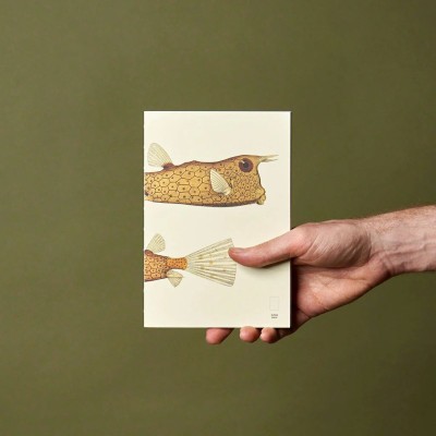 Paper Republic Ανταλλακτικά Φύλλα Reef Book Refills - XL / Κουκκίδες