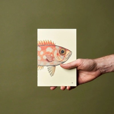 Paper Republic Ανταλλακτικά Φύλλα Reef Book Refills - XL / Λευκά Φύλλα