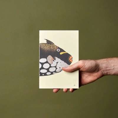 Paper Republic Ανταλλακτικά Φύλλα Reef Book Refills - XL / Ριγέ