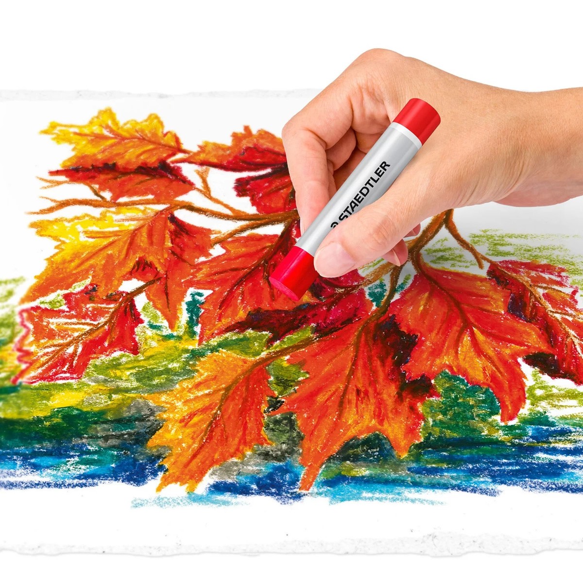 STAEDTLER 24 Oil Pastels - 24 Λαδοπαστέλ