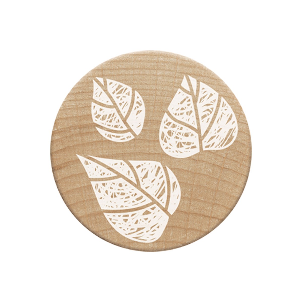 COLOP Arts & Crafts Woodies Ξύλινη Σφραγίδα Dandelion 3 leaves