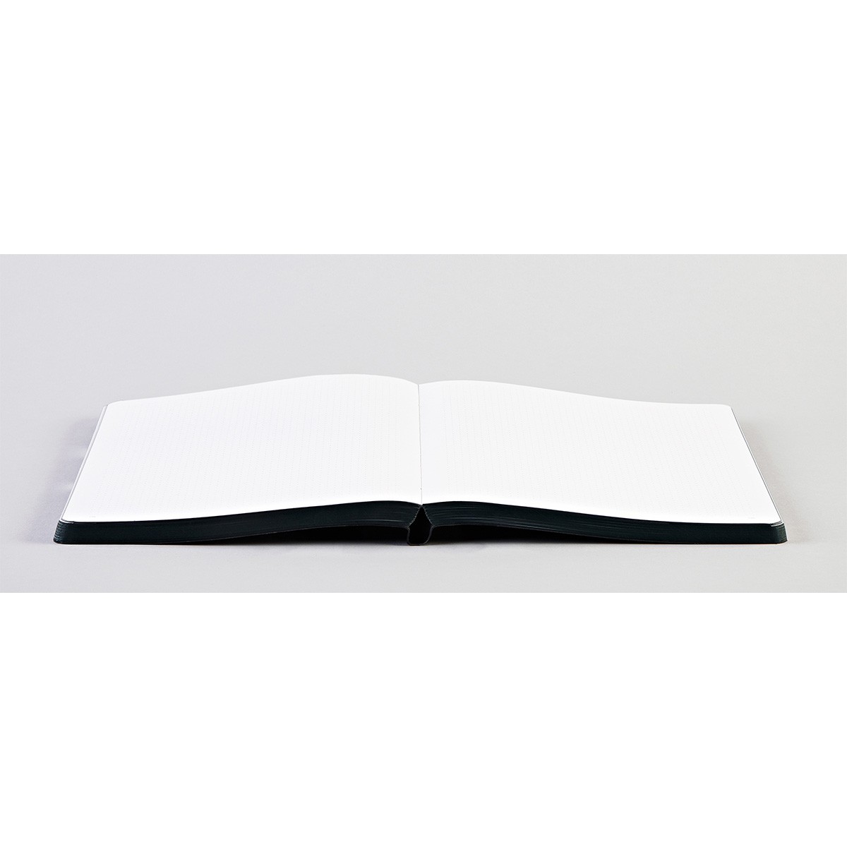 nuuna Notebook Graphic L - Holy Shit