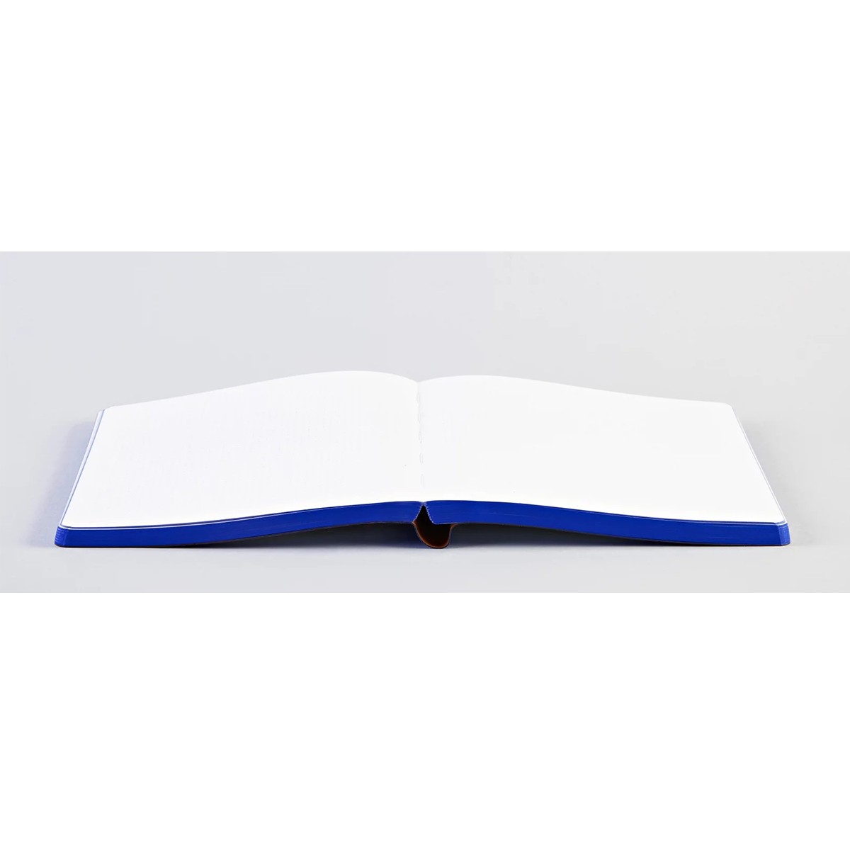 nuuna Notebook Graphic L - Planet Love