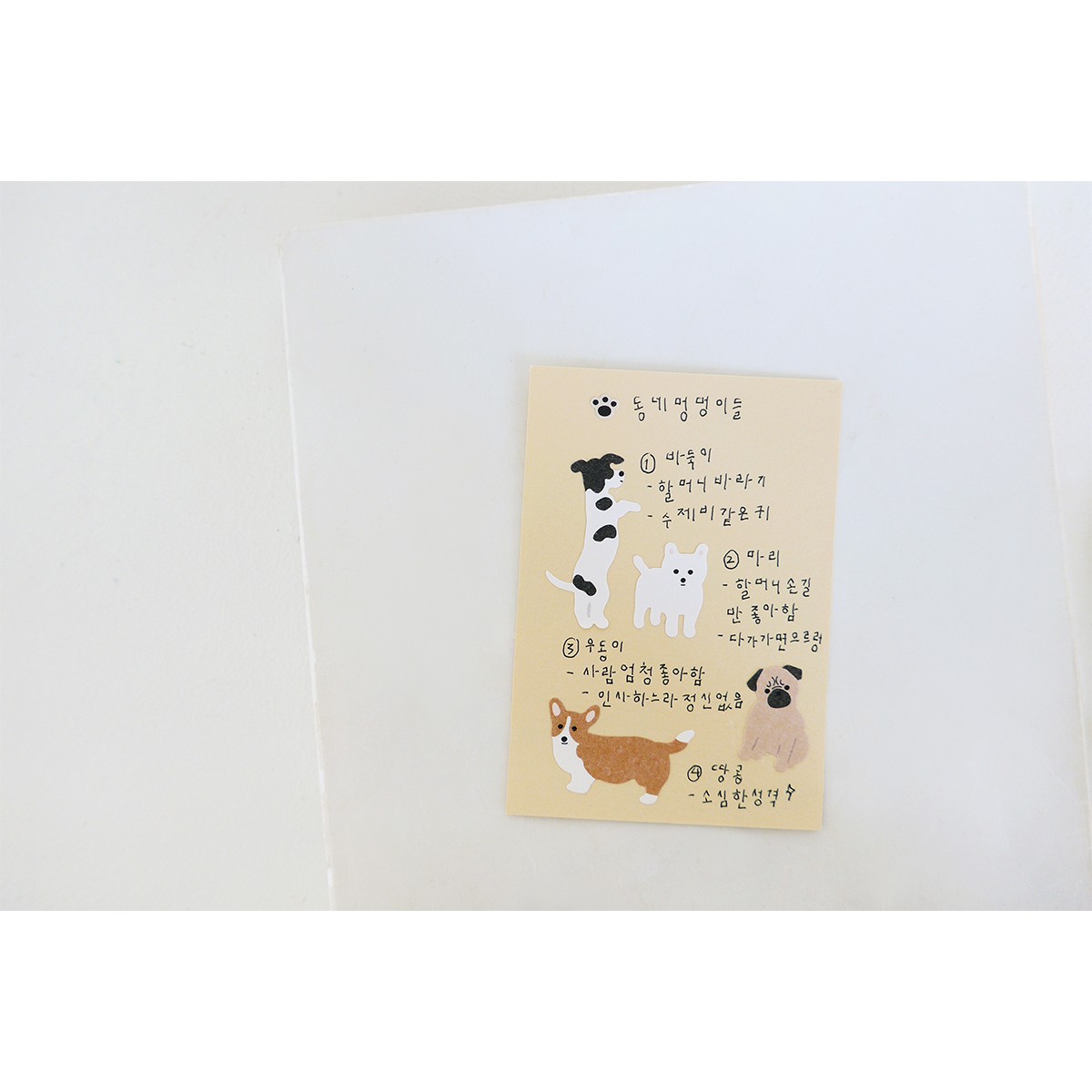 Suatelier Design Αυτοκόλλητα Daily Deco Mung Mung!