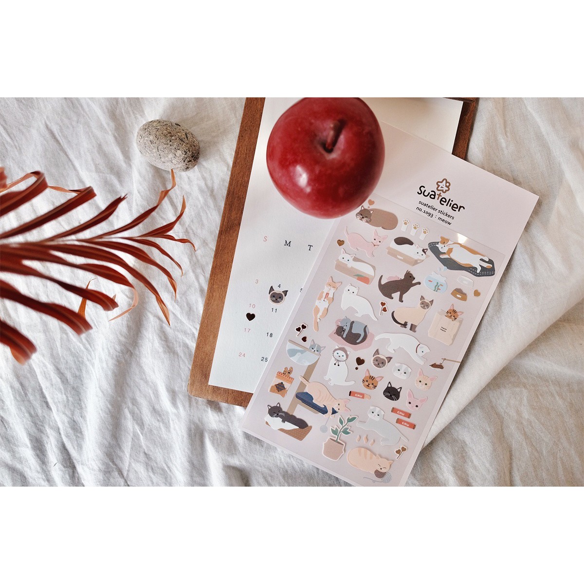 Suatelier Design Αυτοκόλλητα Daily Deco Meow