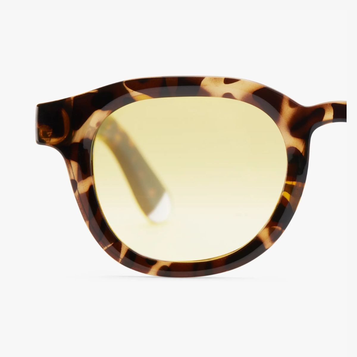 Barner Andy Glossy Γυαλιά Ηλίου Tortoise Amber