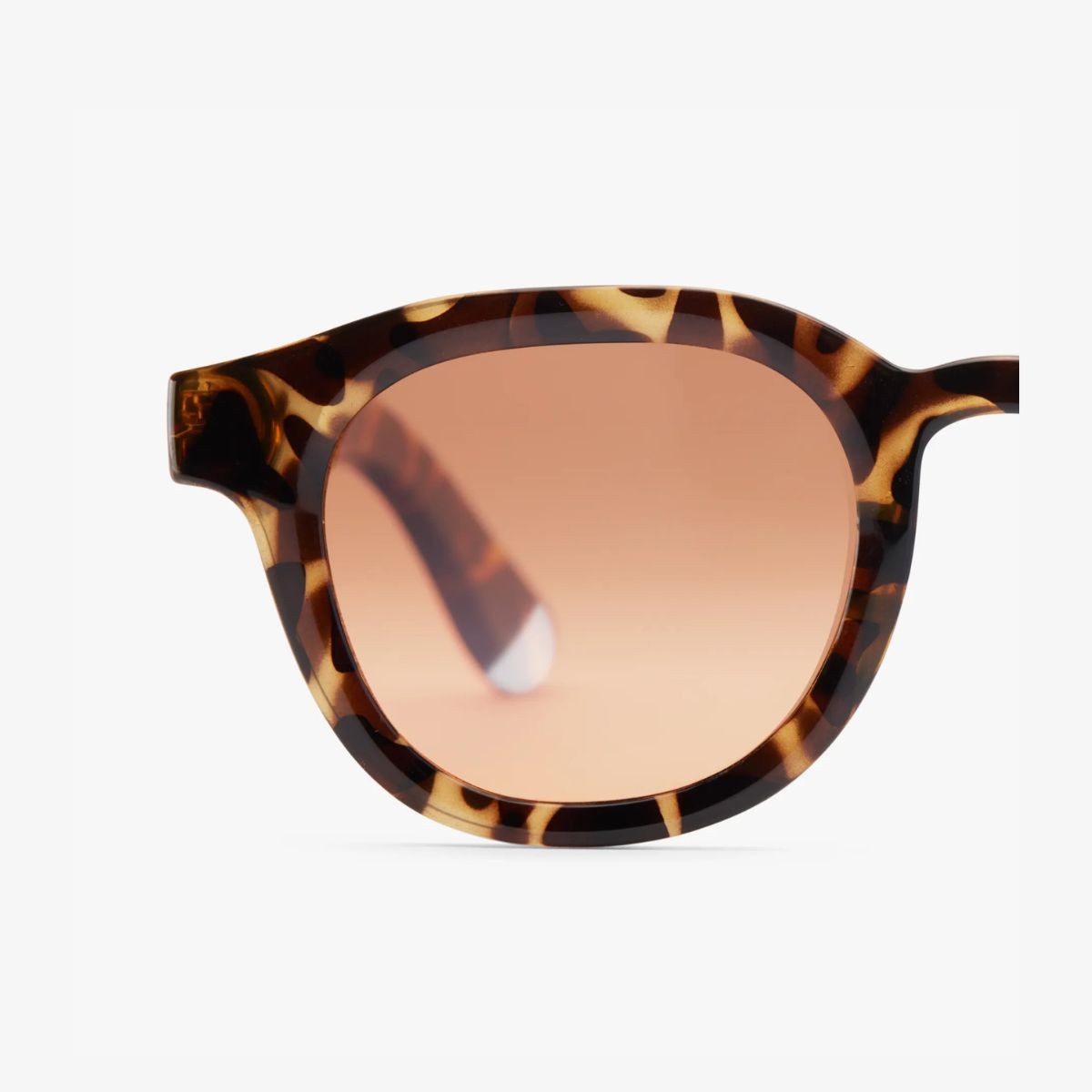 Barner Andy Glossy Γυαλιά Ηλίου Tortoise