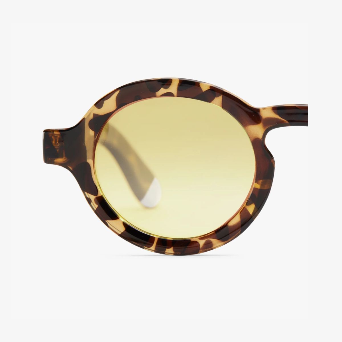 Barner Charles Glossy Γυαλιά Ηλίου Tortoise Amber