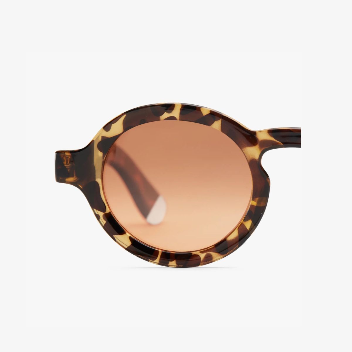 Barner Charles Glossy Γυαλιά Ηλίου Tortoise