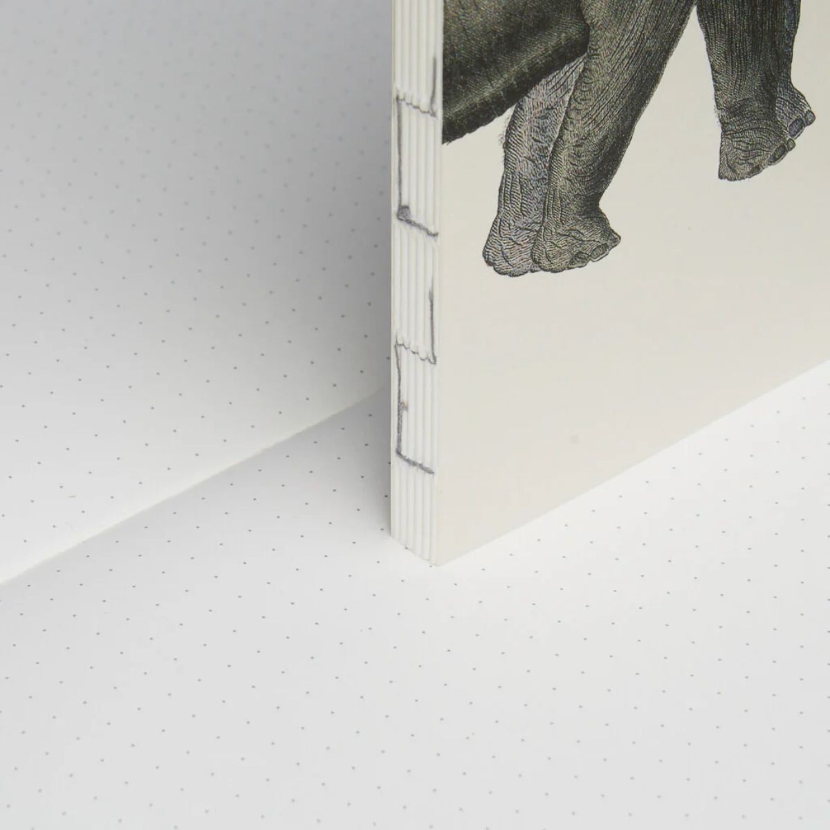 Paper Republic Ανταλλακτικά Φύλλα Animal Companions Refills - XL / Κουκκίδες
