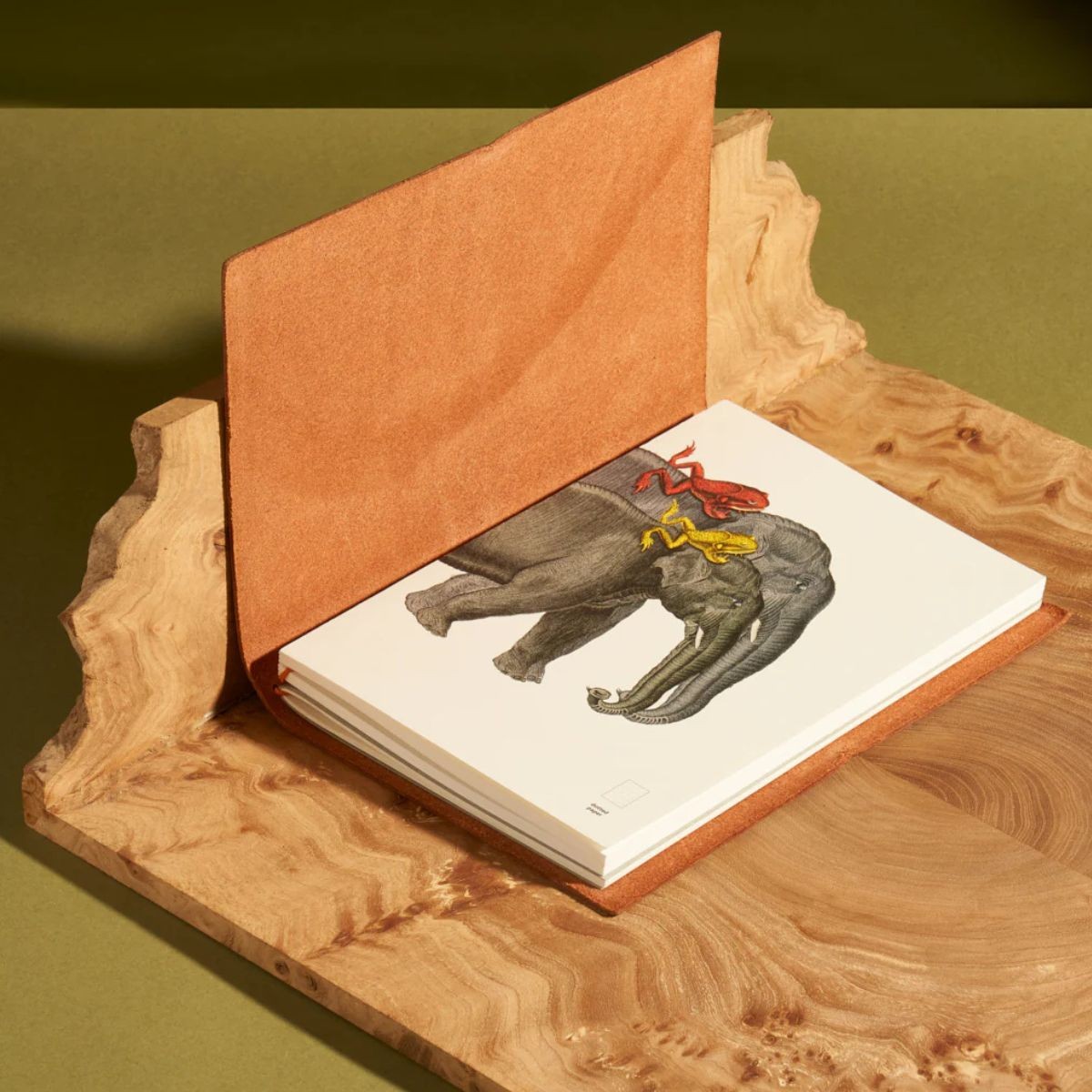 Paper Republic Ανταλλακτικά Φύλλα Animal Companions Refills - XL / Κουκκίδες