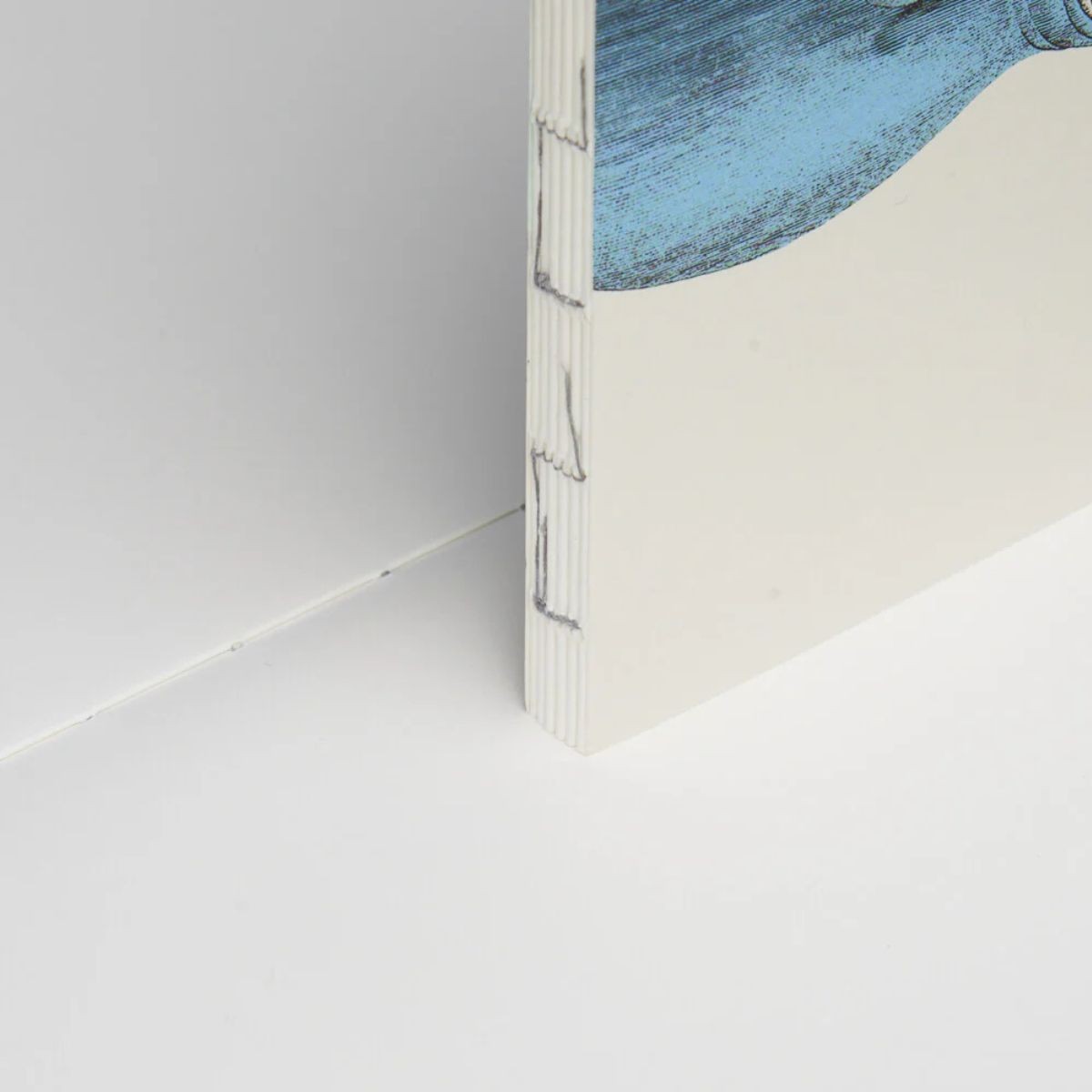 Paper Republic Ανταλλακτικά Φύλλα Animal Companions Refills - XL / Λευκά Φύλλα