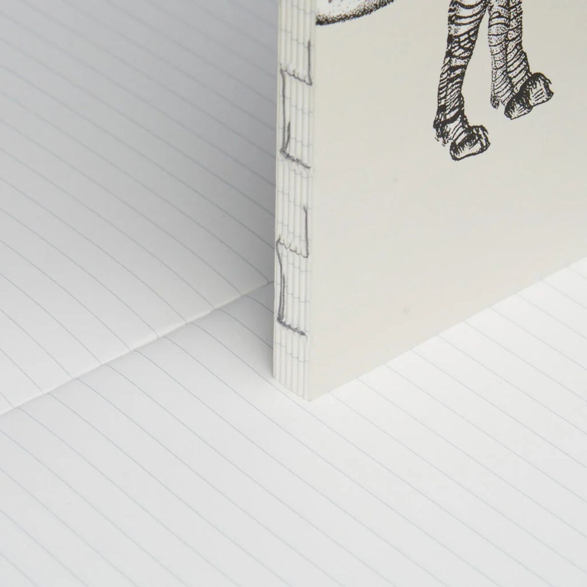 Paper Republic Ανταλλακτικά Φύλλα Animal Companions Refills - XL / Ριγέ