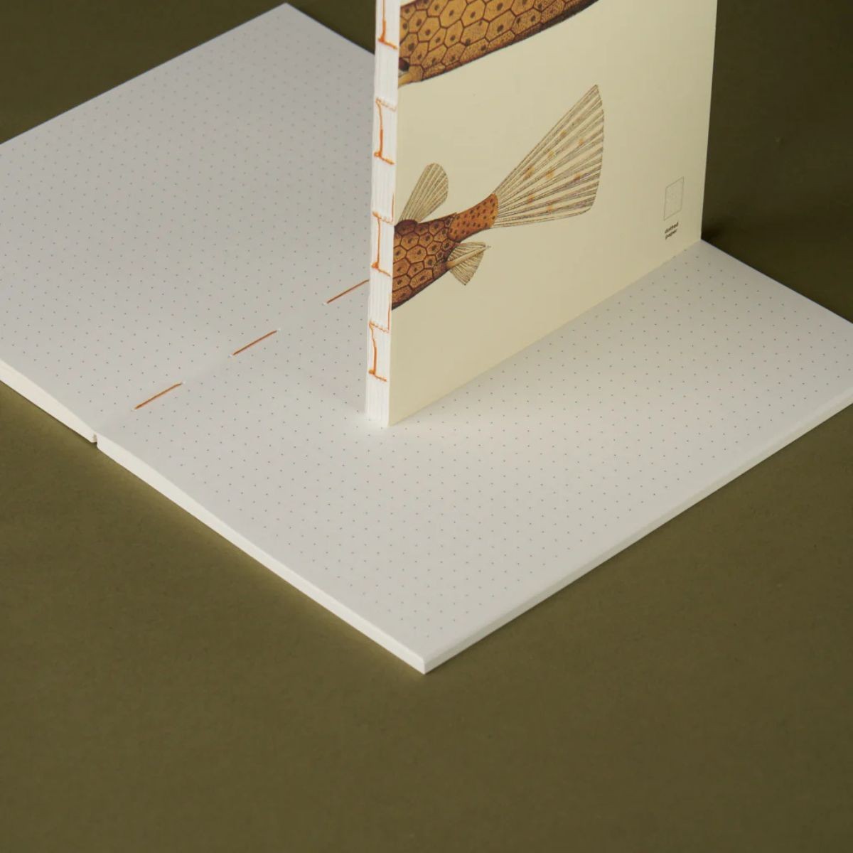 Paper Republic Ανταλλακτικά Φύλλα Reef Book Refills - Pocket / Κουκκίδες