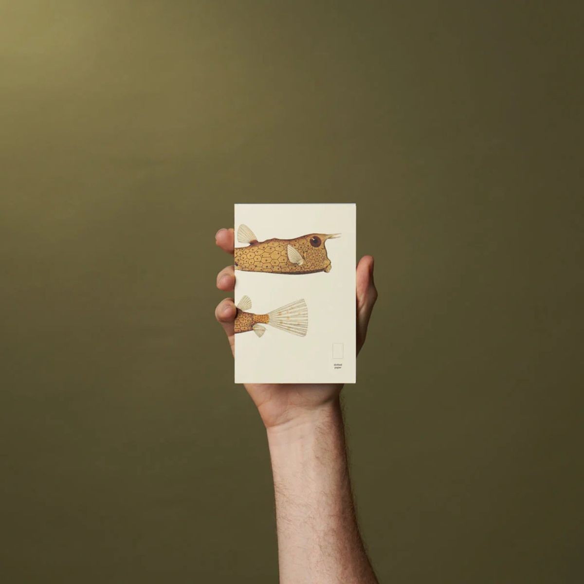 Paper Republic Ανταλλακτικά Φύλλα Reef Book Refills - Pocket / Κουκκίδες