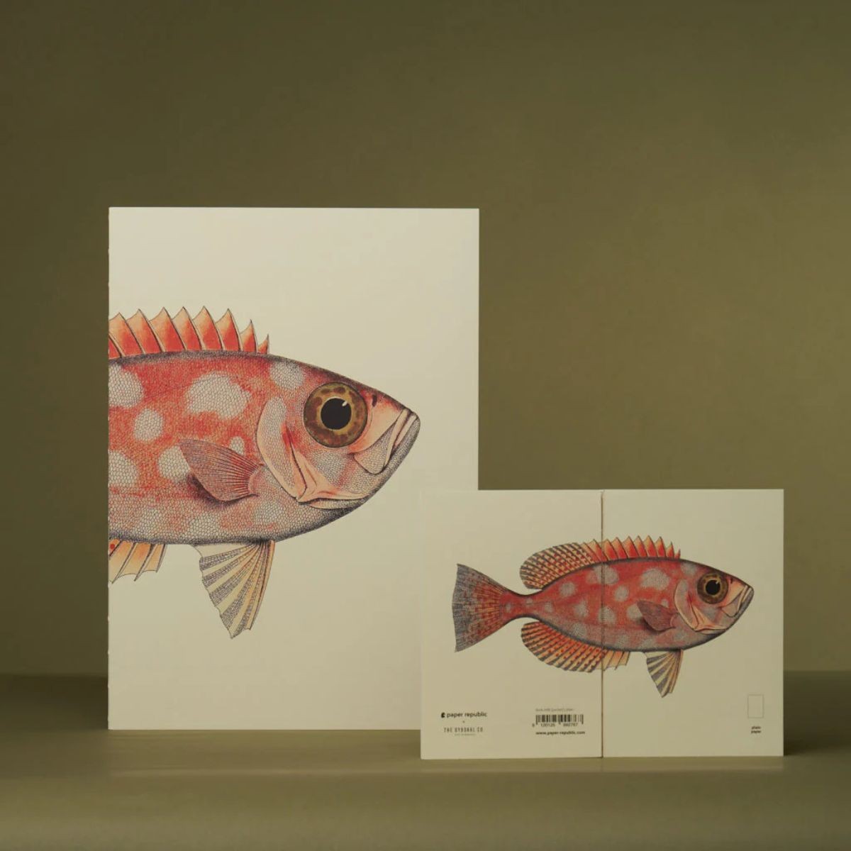 Paper Republic Ανταλλακτικά Φύλλα Reef Book Refills - Pocket / Λευκά Φύλλα