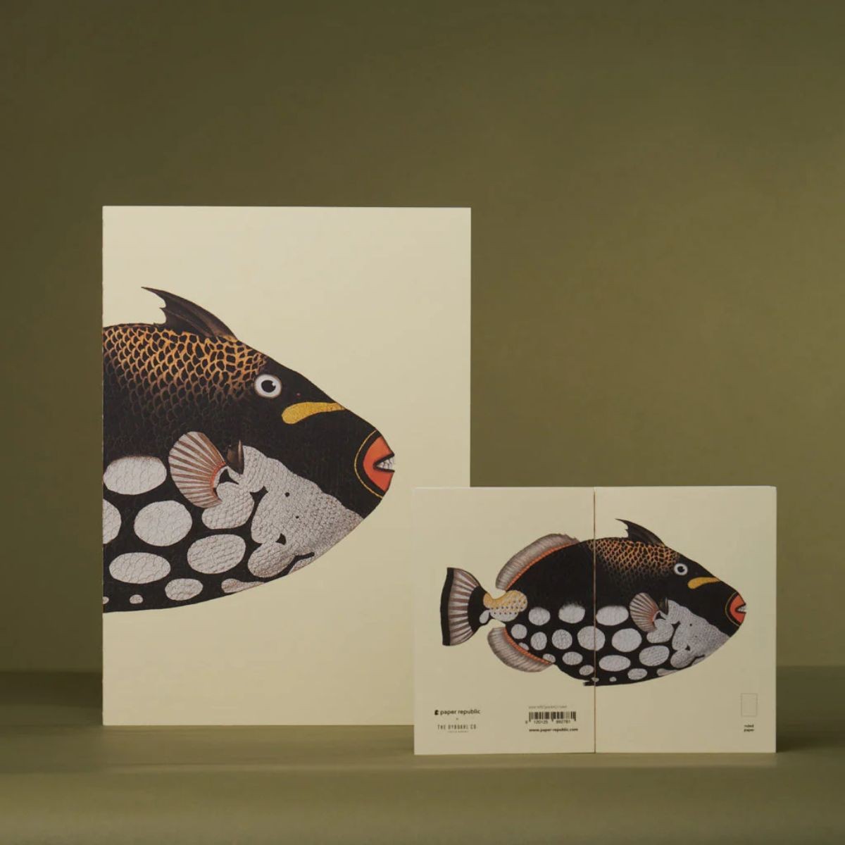Paper Republic Ανταλλακτικά Φύλλα Reef Book Refills - Pocket / Ριγέ