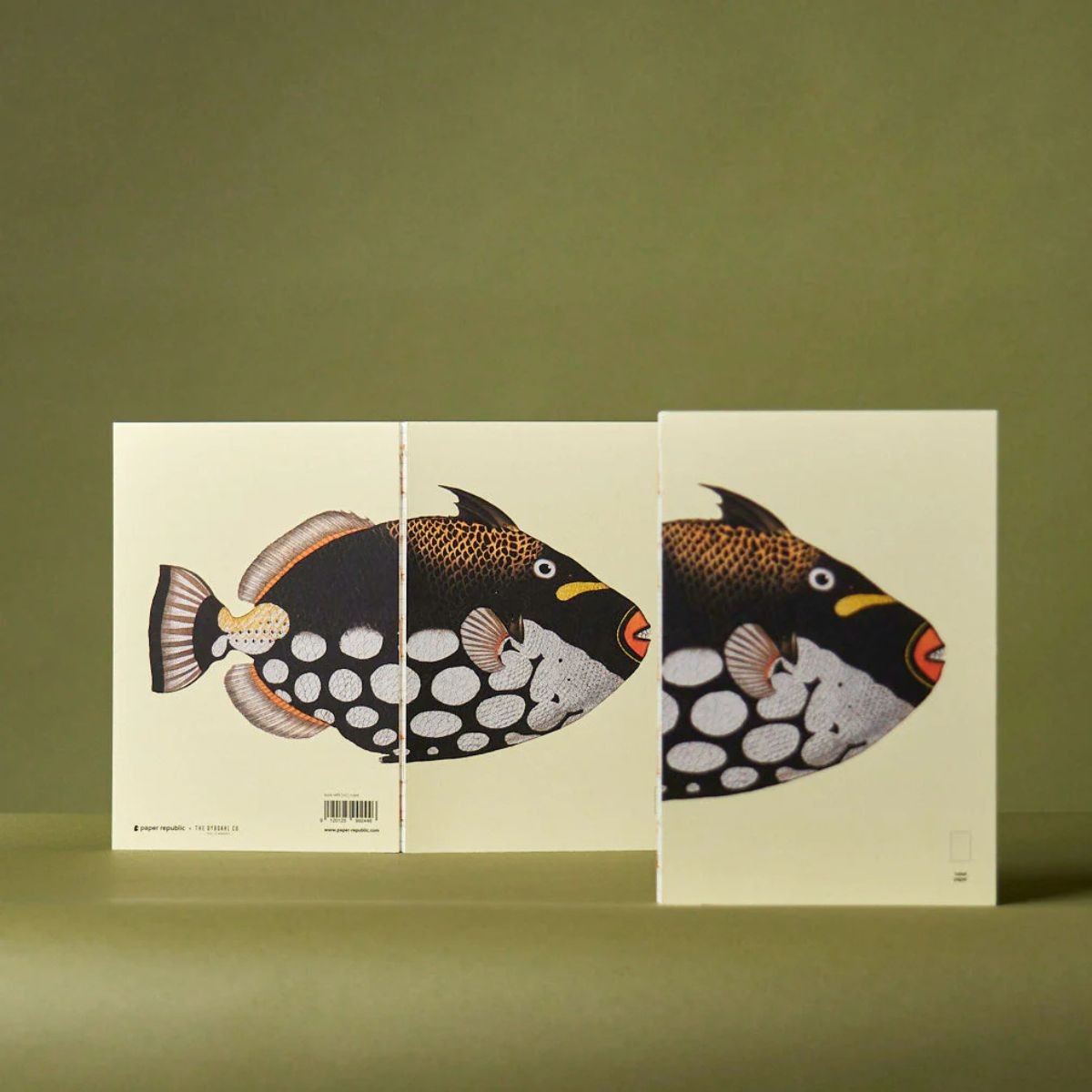 Paper Republic Ανταλλακτικά Φύλλα Reef Book Refills - XL / Ριγέ