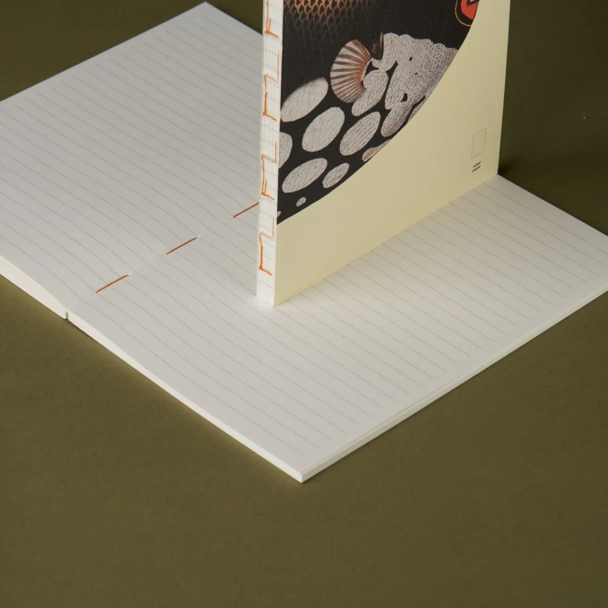 Paper Republic Ανταλλακτικά Φύλλα Reef Book Refills - XL / Ριγέ