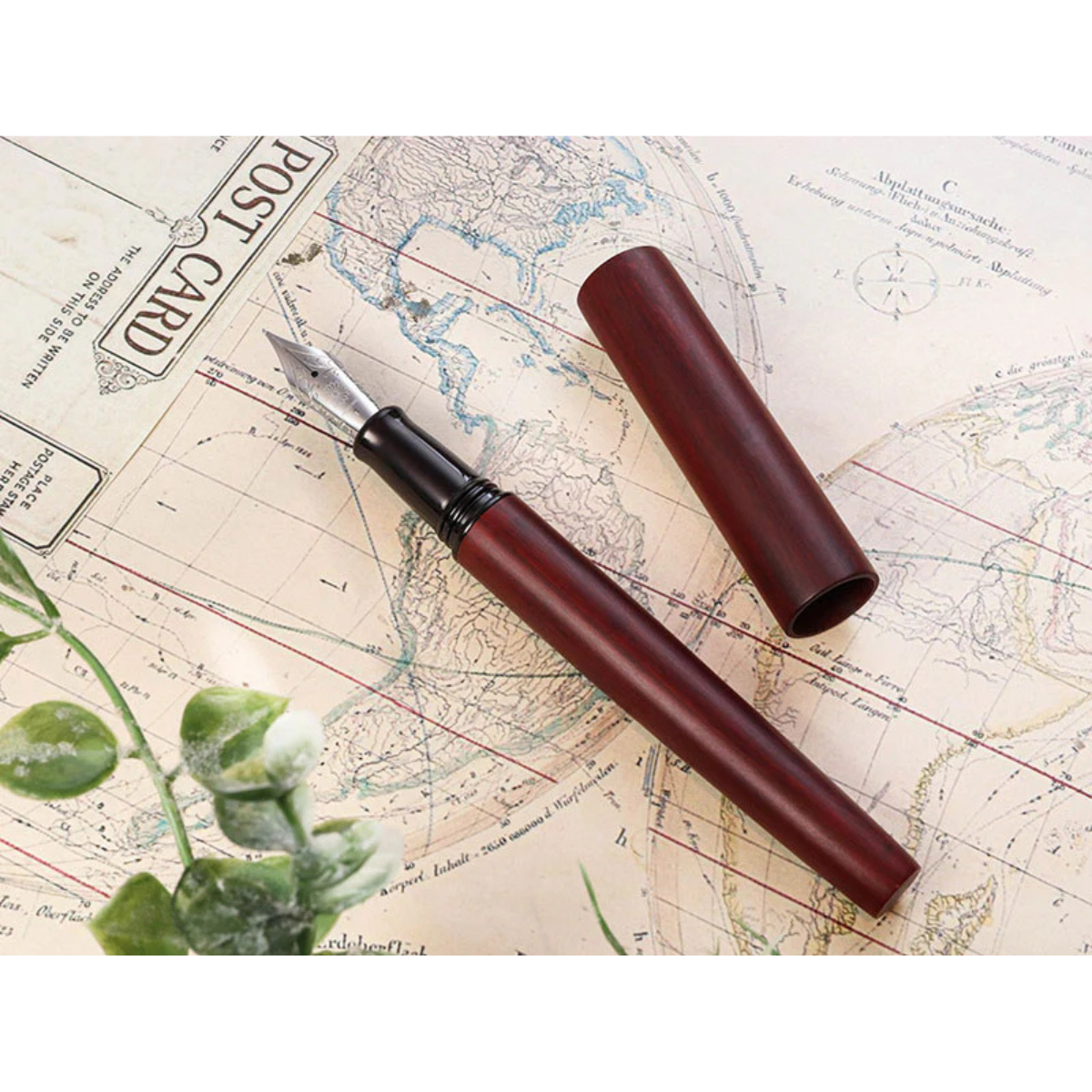 Wancher Sekai World Tree Πένα M - Sandalwood