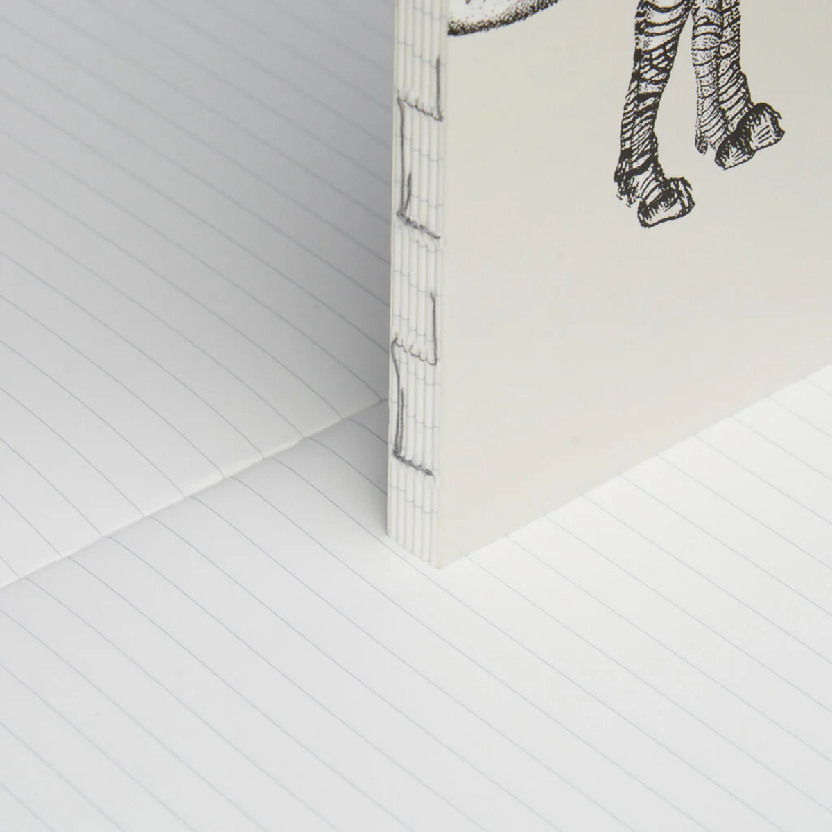 Paper Republic x The Dybdahl Co. Ανταλλακτικά Φύλλα Animal Companions Refills Pocket - Ριγέ