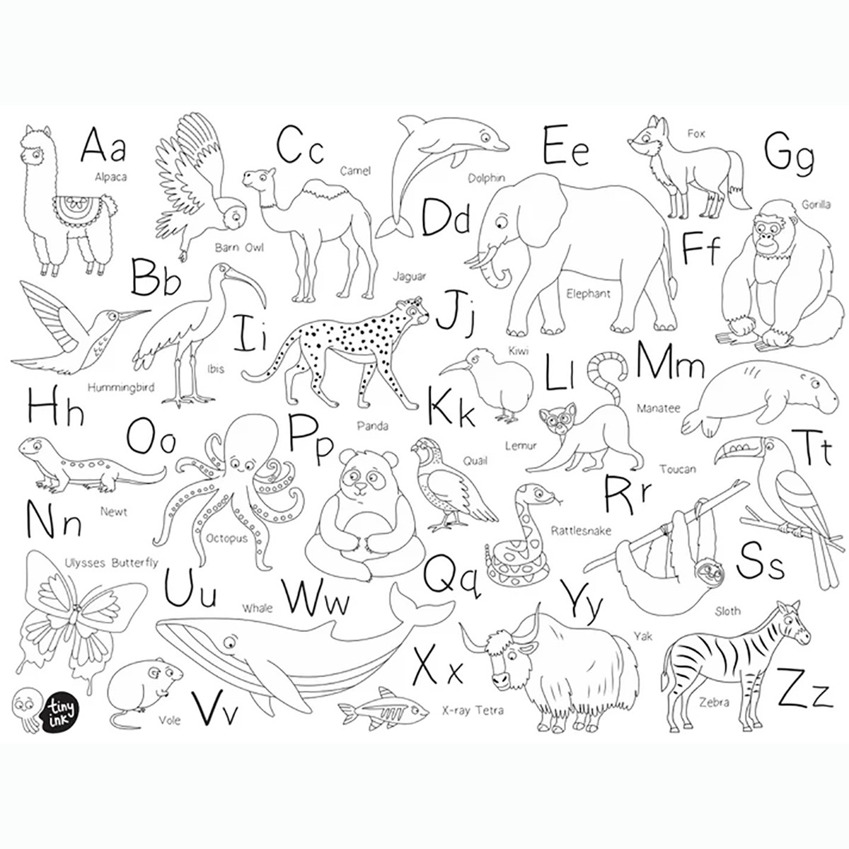 Tiny Ink Sτudio Παιδικό Σουπλά για Ζωγραφική Animal A - Z