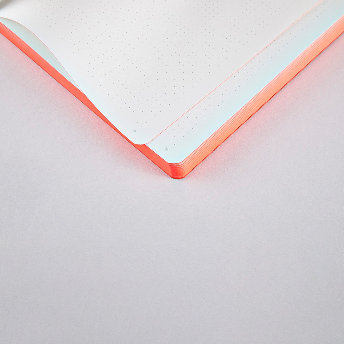 Nuuna Notebook Colour Clash L Light - SAKURA