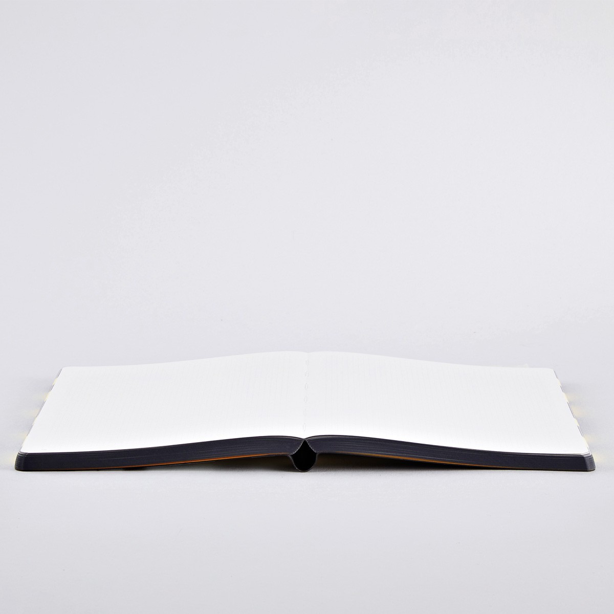 Nuuna Notebook Graphic L - BEST PLAN - NO PLAN