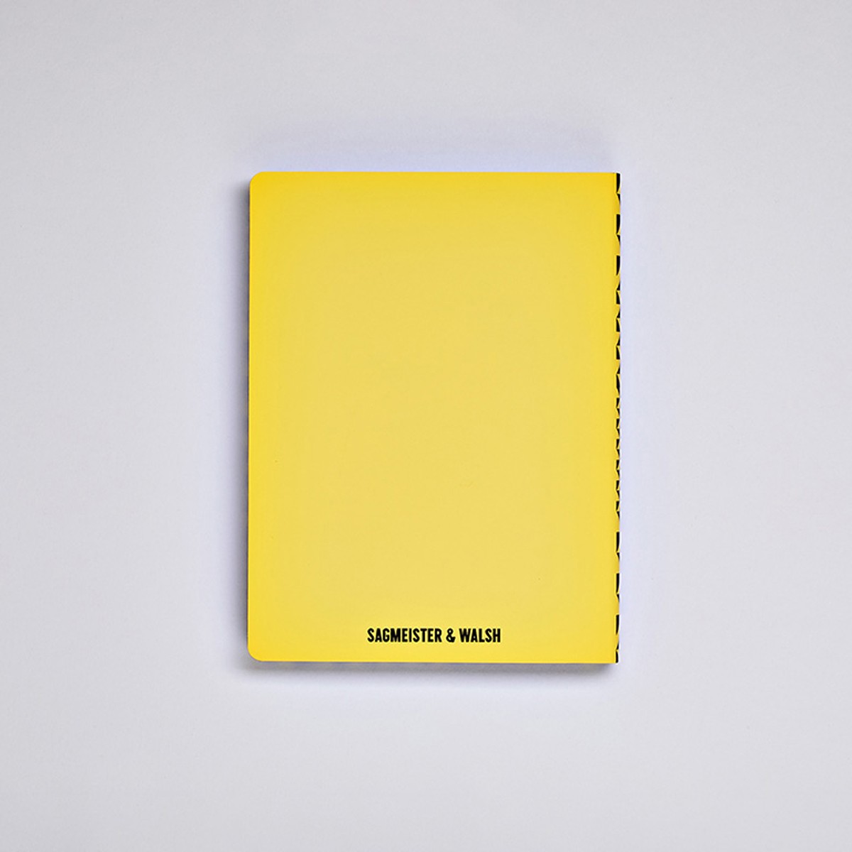 Nuuna Notebook Graphic L - THE HAPPY BOOK BY STEFAN SAGMEISTER