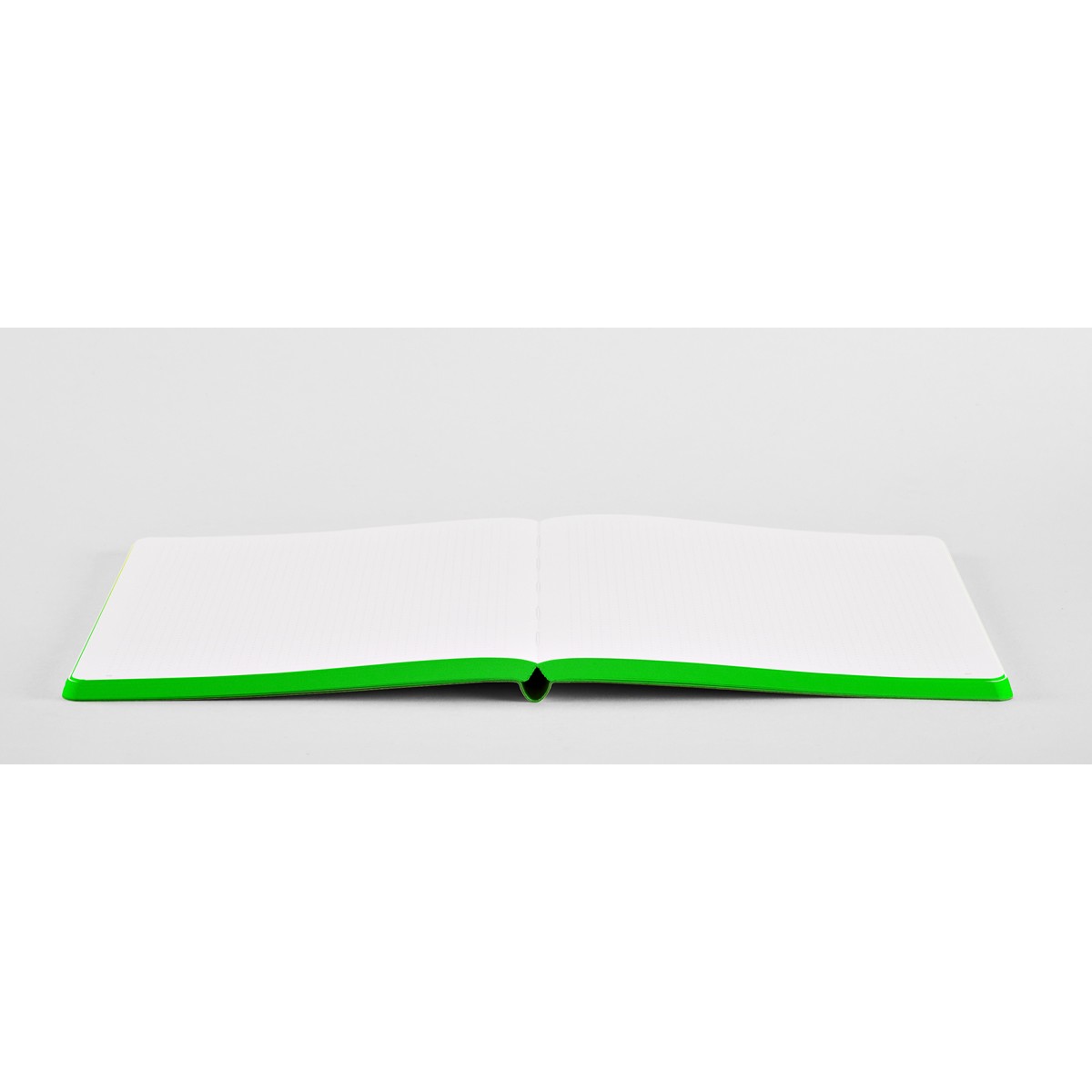 nuuna Notebook Colour Clash L Light - FRESH