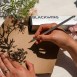 BLACKWING® Volume 140 Culinary Arts Σετ 12 Ξύλινα Μολύβια με Γόμα