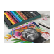 Faber Castell Σετ Ξυλομπογιές Polychromos & Pitt Graphite Matt 50τμχ