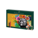 Faber Castell Σετ Ξυλομπογιές Polychromos & Pitt Graphite Matt 50τμχ