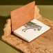 Paper Republic Ανταλλακτικά Φύλλα Animal Companions Refills - XL / Ριγέ