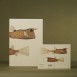 Paper Republic Ανταλλακτικά Φύλλα Reef Book Refills - Pocket / Κουκκίδες