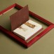 Paper Republic Ανταλλακτικά Φύλλα Reef Book Refills - Pocket / Κουκκίδες