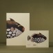 Paper Republic Ανταλλακτικά Φύλλα Reef Book Refills - Pocket / Ριγέ