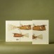 Paper Republic Ανταλλακτικά Φύλλα Reef Book Refills - XL / Κουκκίδες