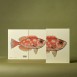 Paper Republic Ανταλλακτικά Φύλλα Reef Book Refills - XL / Λευκά Φύλλα