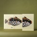 Paper Republic Ανταλλακτικά Φύλλα Reef Book Refills - XL / Ριγέ