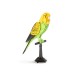 Kikkerland 3D Παζλ Parakeet