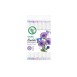 Ohuhu Honolulu Alcohol Markers Σετ Μαρκαδόρων 6 Purple Tones Brush & Chisel