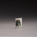 Paper Republic x The Dybdahl Co. Ανταλλακτικά Φύλλα Animal Companions Refills Pocket Κουκκίδες