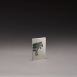 Paper Republic x The Dybdahl Co. Ανταλλακτικά Φύλλα Animal Companions Refills Pocket - Ριγέ