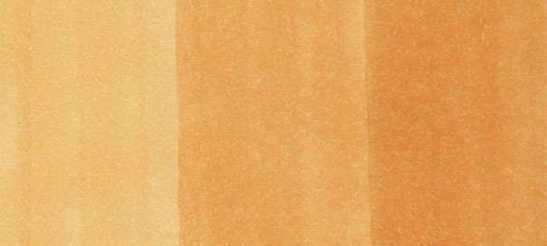 E55 - Light Camel E55 - Light Camel